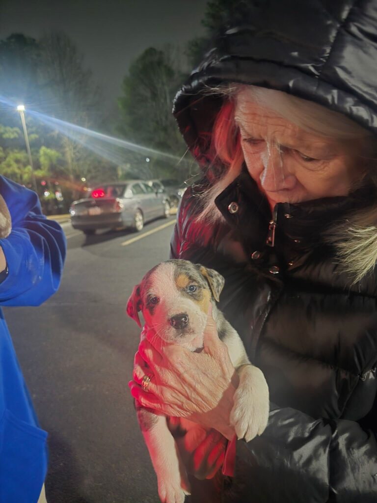Volunteers rescuing puppies in the dark and freezing temps