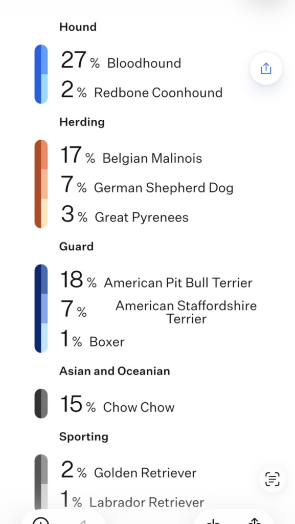 dna results 1