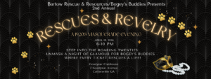 2nd annual gala