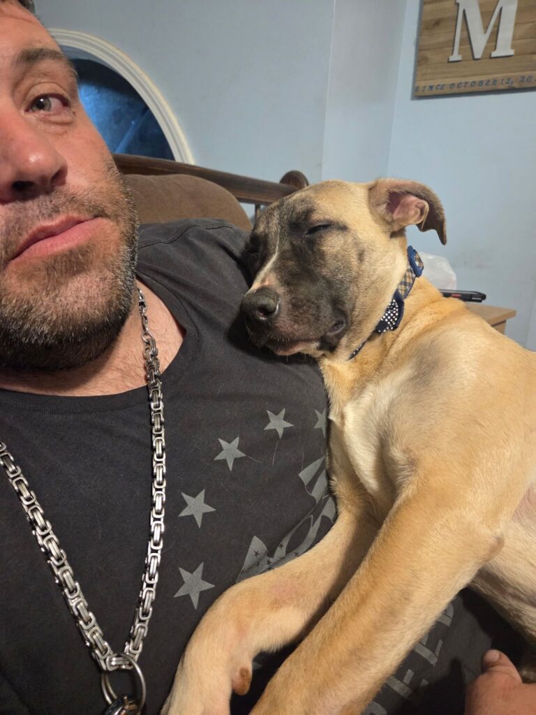 Levi the lap dog