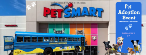 adoption event