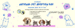 marriott adoption day