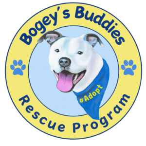 Update Rescue Program Text